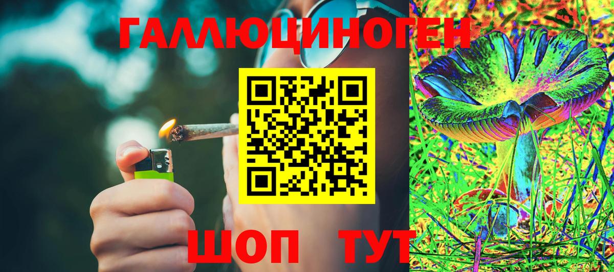 Псилоцибиновые грибы мухоморы Новозыбков